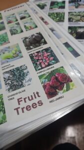 garden_fest3
