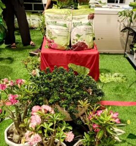 garden_fest6