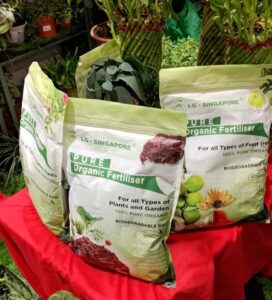 garden_fest8
